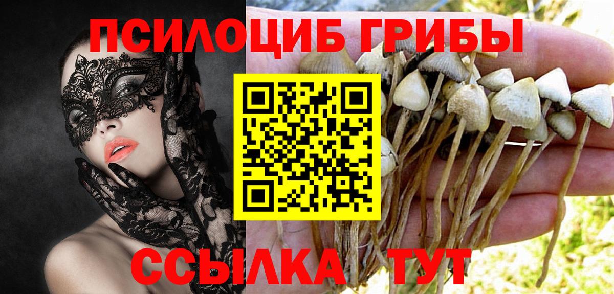 Псилоцибиновые грибы Cubensis  где найти наркотики  Ипатово  Галлюциногенные грибы MAGIC MUSHROOMS  Вход с VPN 