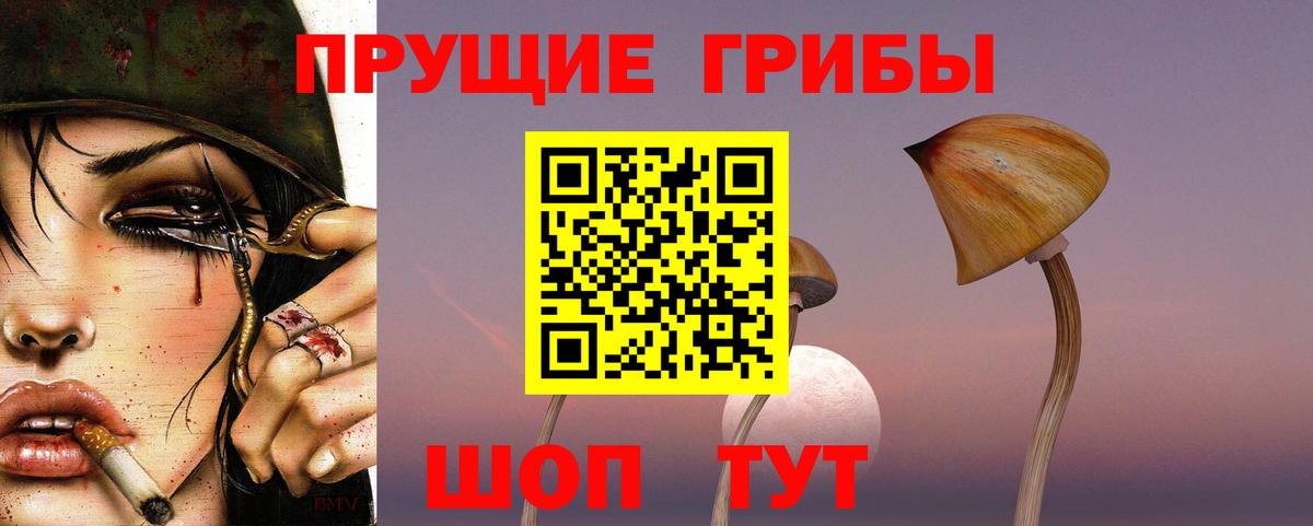 Галлюциногенные грибы GOLDEN TEACHER Ипатово